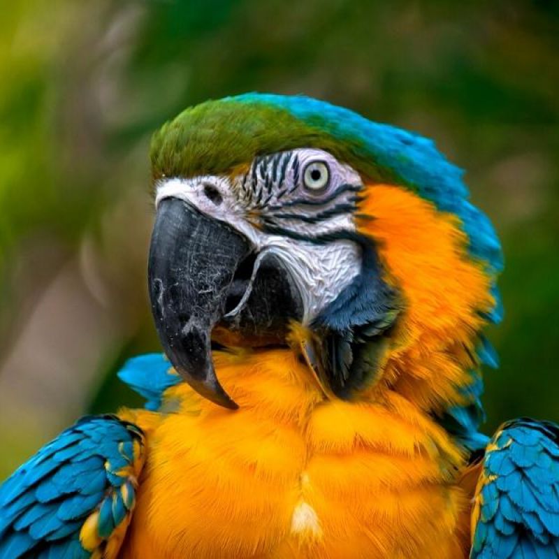 Naturaleza y ecoturismo desde Nicaragua