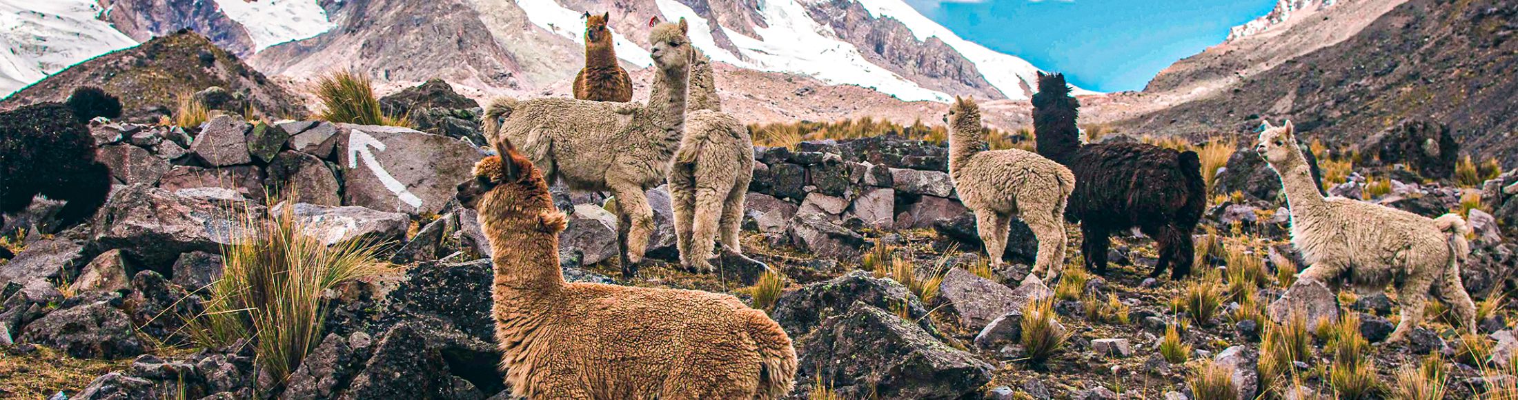 Machu Picchu 4D3N Viajero (Cultural Aventura Tendencia)  desde Nicaragua