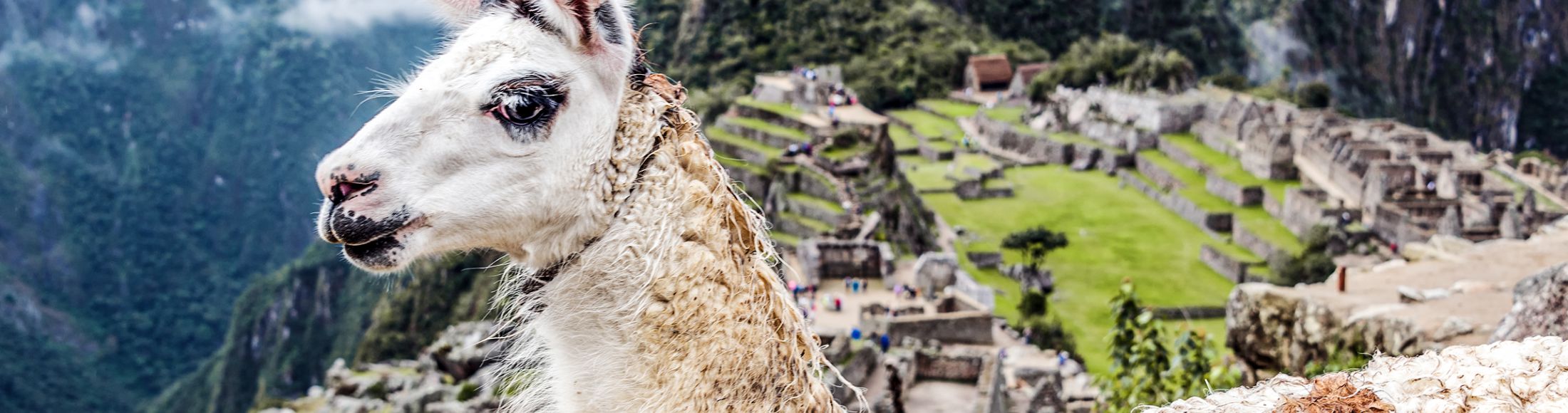 Machu Picchu 8D7N Viajero (Full Cultural)  desde Nicaragua